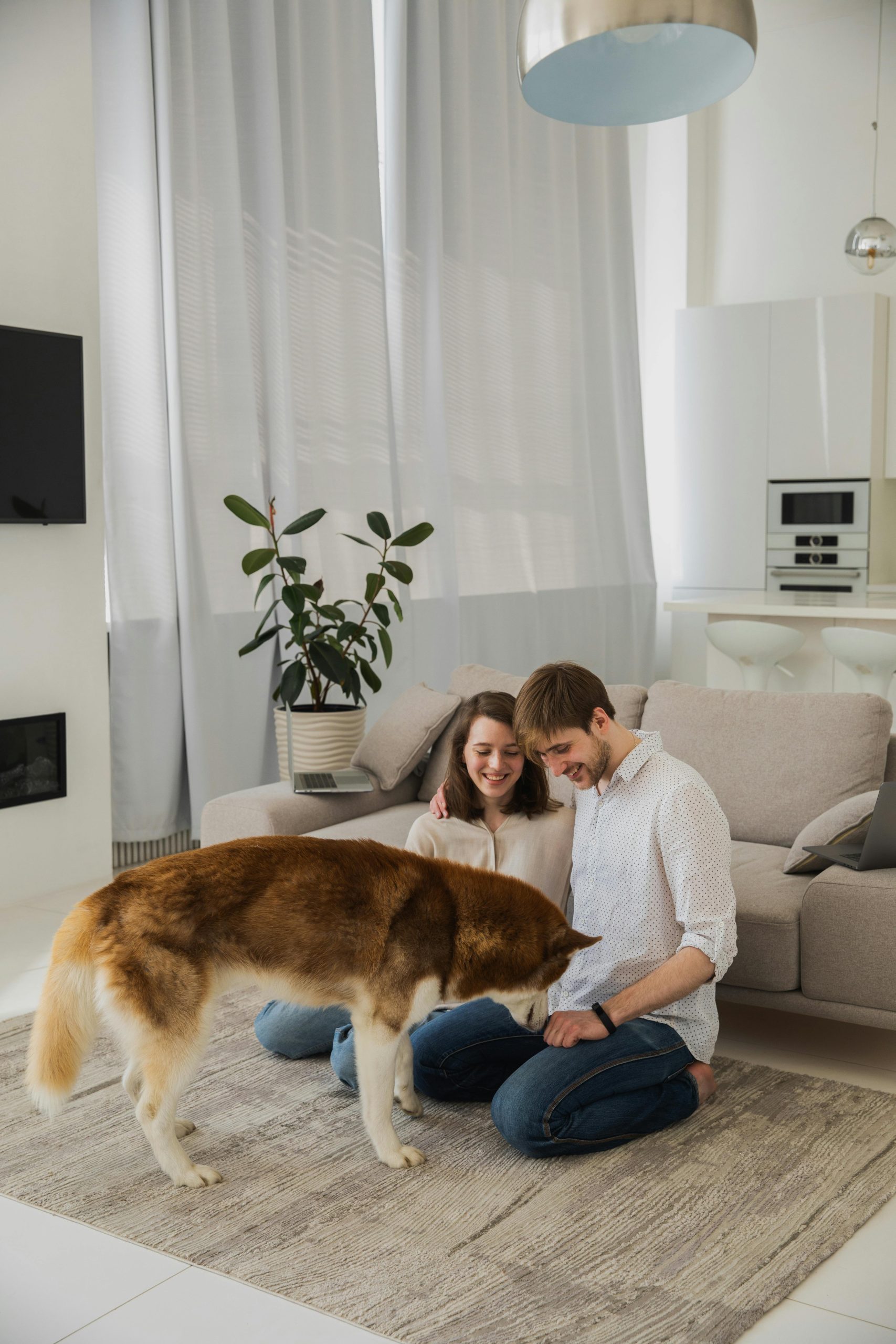 Smiling couple enjoying time with their dog in a modern living room.
